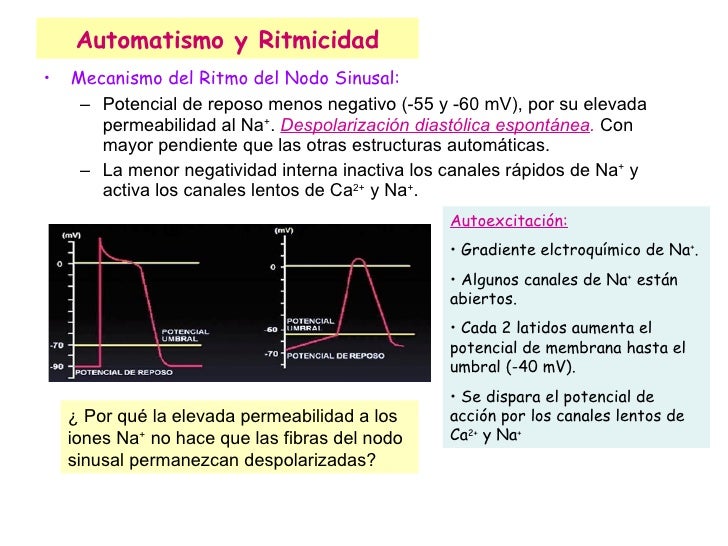 automatismo cardiaco definicion